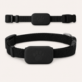 Collar GPS