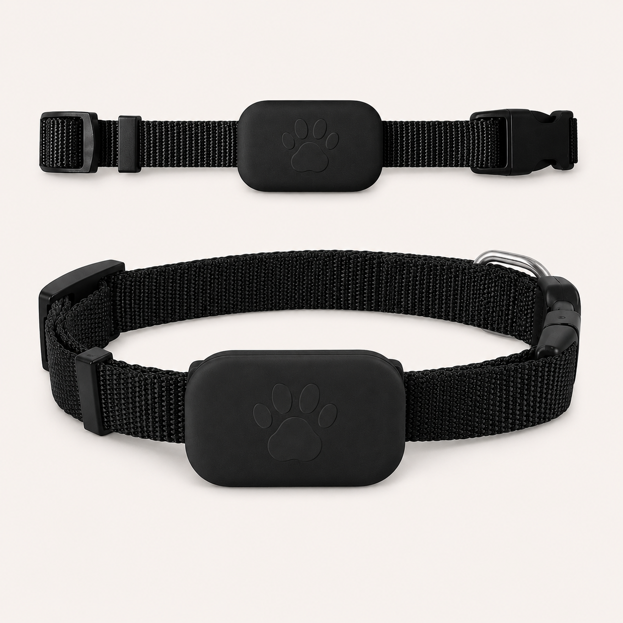 Collar GPS