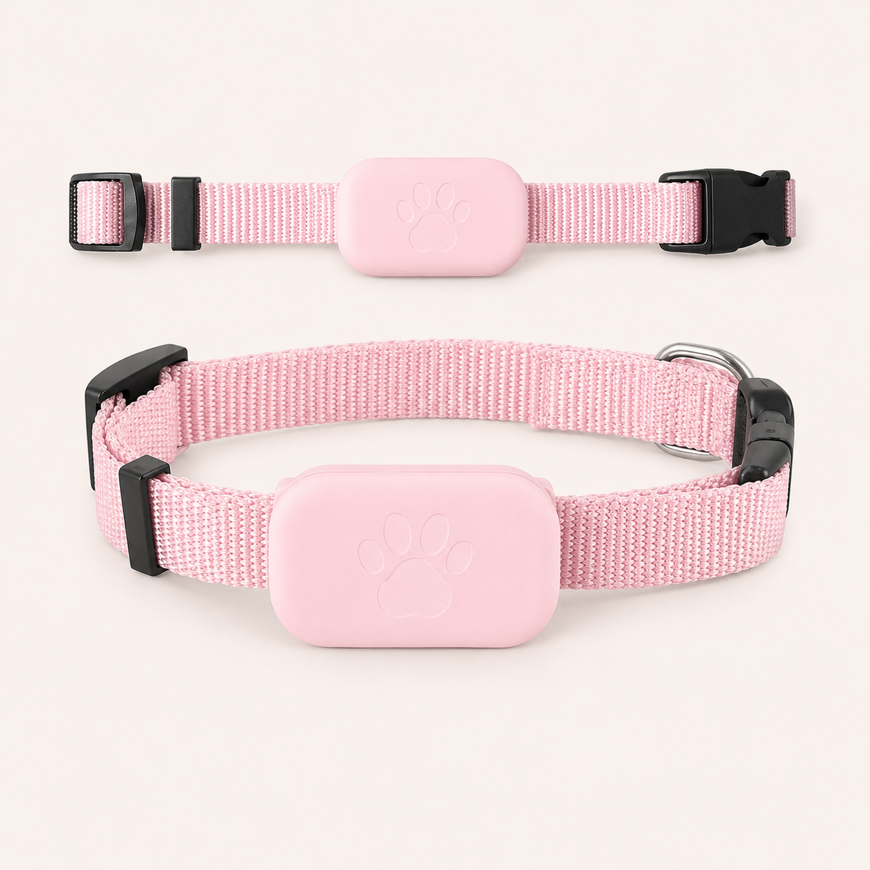 Collar GPS