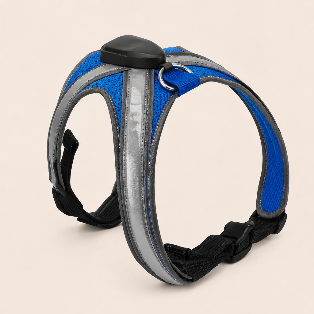 Collar reflectante LED